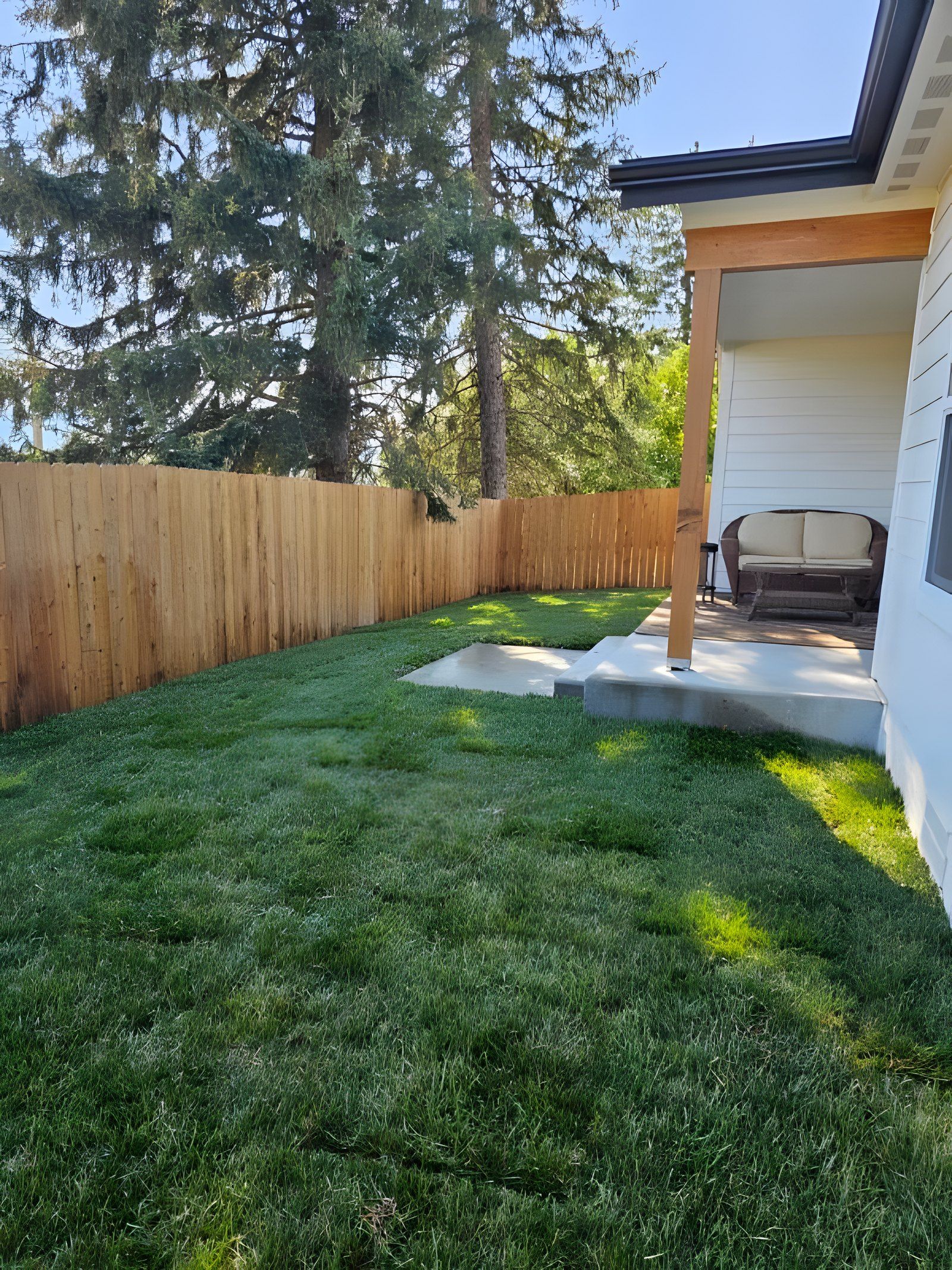 New sod backyard along a cedar fence next to a covered patio