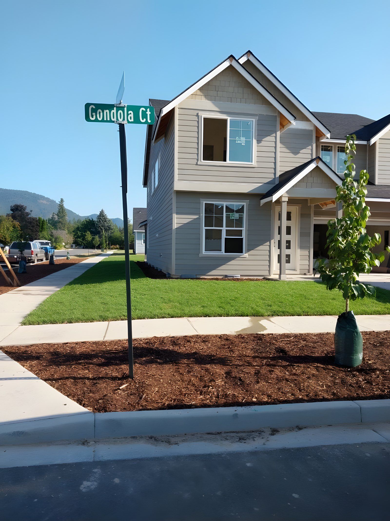 New sod lawn and bark mulch bed with a young street tree in front of a gray two-story house