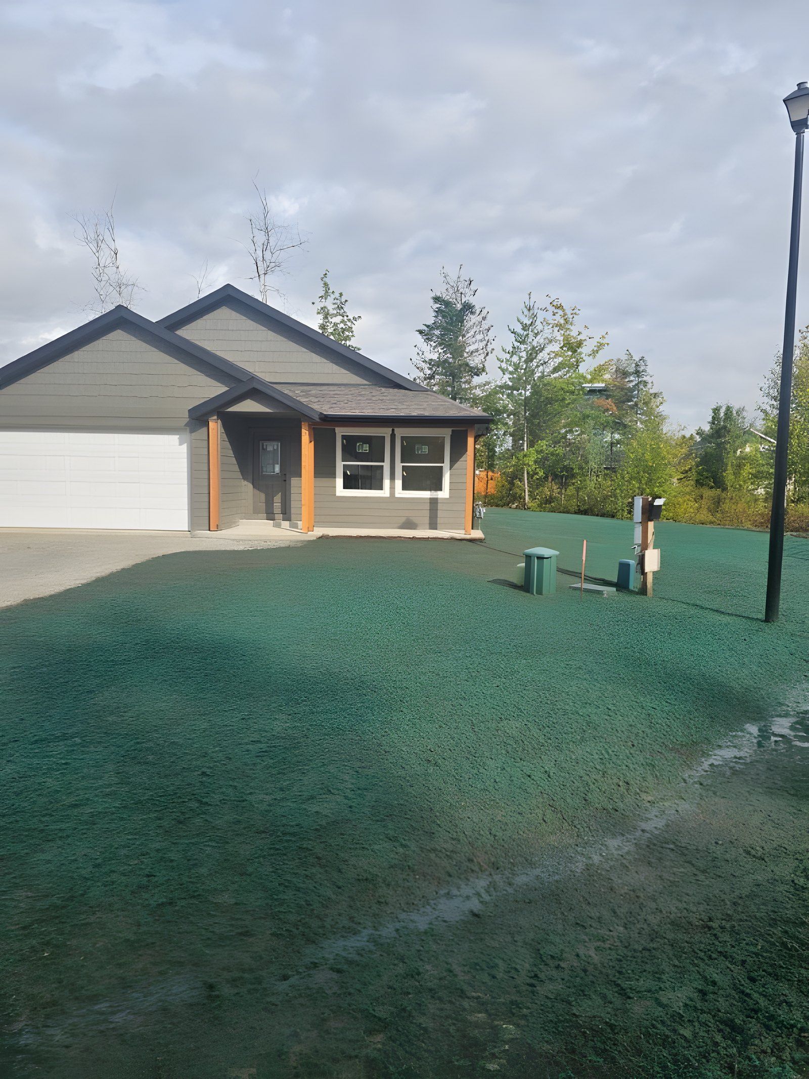 Fresh green hydroseed covering a large yard in front of a single-story home
