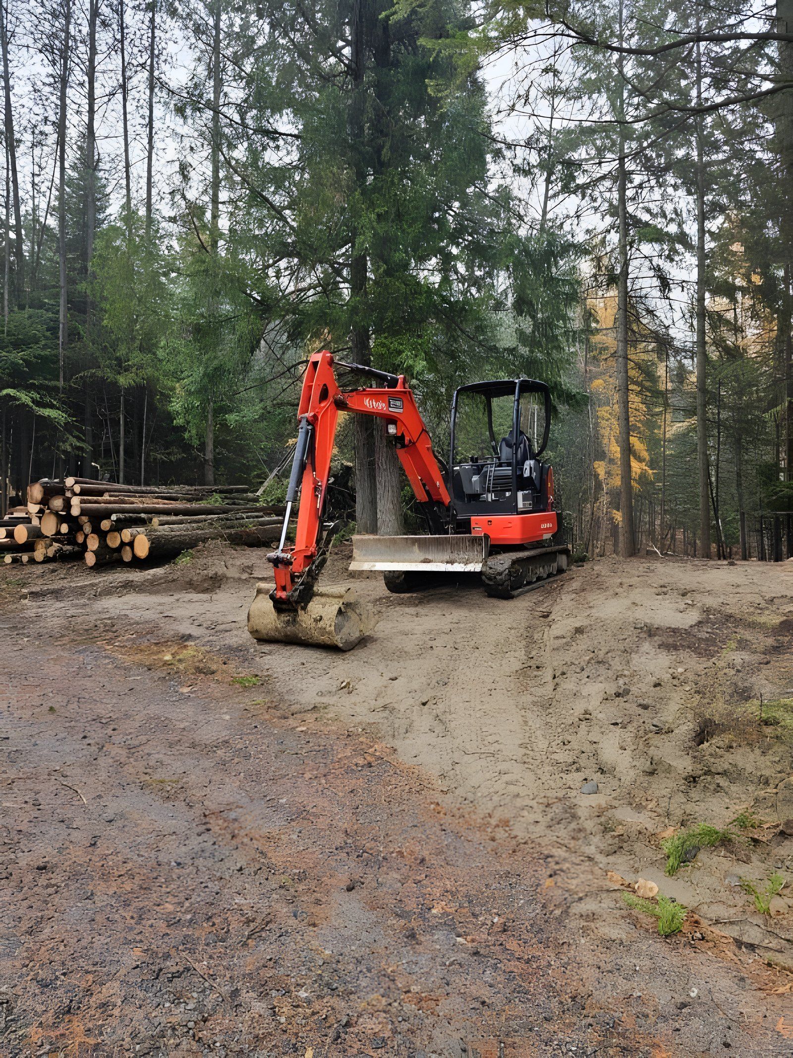 Mini excavator clearing a building site in the trees, with cut logs stacked to the side